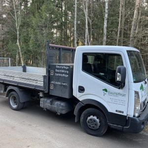 NISSAN NT400  Dreiseitenkipper 3,5 t
